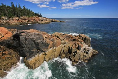 Acadia Milli Parkı 'nın engebeli kıyısı, Maine.