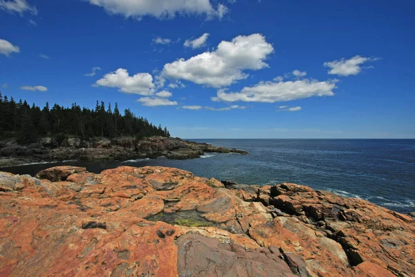 Den barske kyst Acadia National Park, Maine . - Stock-foto