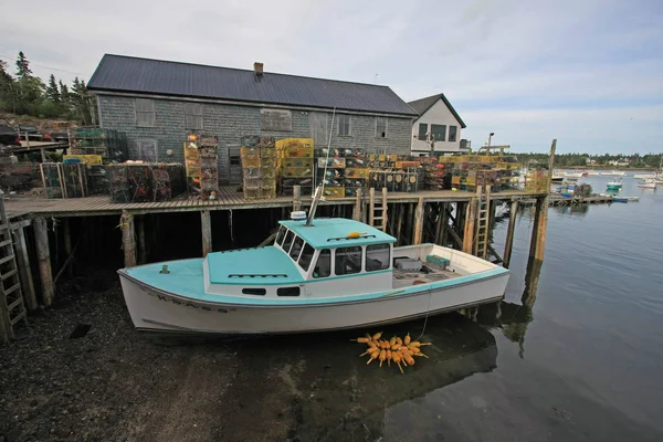 Langosta de Bass Harbor, Maine . — Foto de Stock