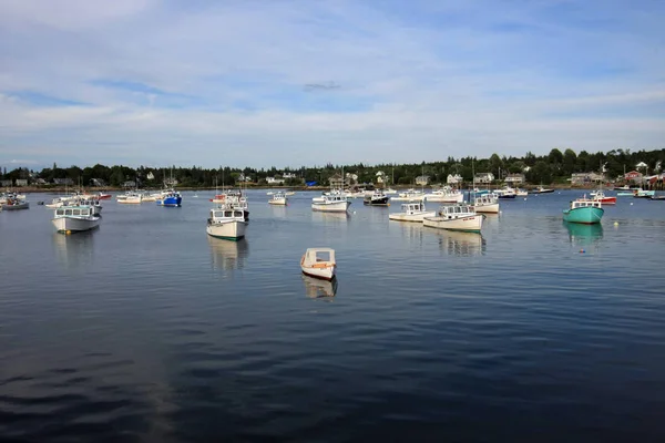 Langostas de Bass Harbor, Maine . — Foto de Stock