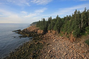 Acadia Milli Parkı 'nın engebeli kıyısı, Maine.