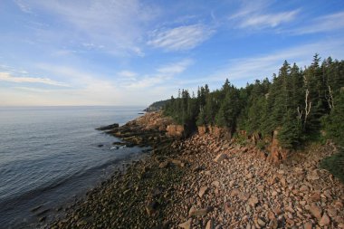 Acadia Milli Parkı 'nın engebeli kıyısı, Maine.