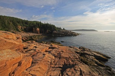 Acadia Milli Parkı 'nın engebeli kıyısı, Maine.