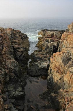 Acadia Milli Parkı 'nın engebeli kıyısı, Maine.