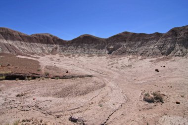 Petrified orman Milli Parkı, Arizona boyalı çöl Badlands.