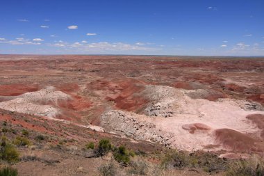 Boyalı Çöl, Taşlaşmış Orman Ulusal Parkı, Arizona.