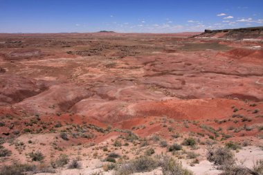 Boyalı Çöl, Taşlaşmış Orman Ulusal Parkı, Arizona.
