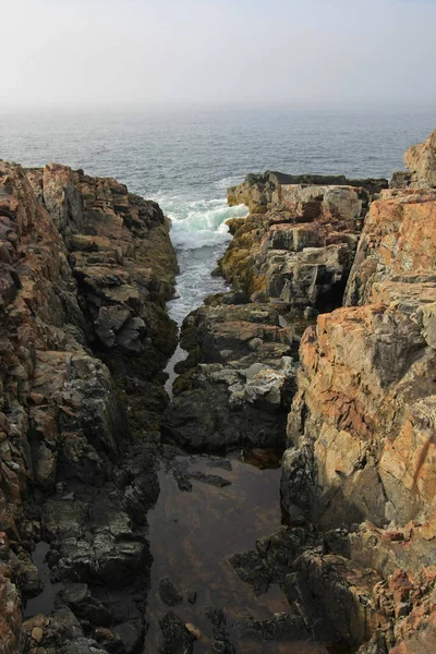 La escarpada costa del Parque Nacional Acadia, Maine . — Foto de Stock
