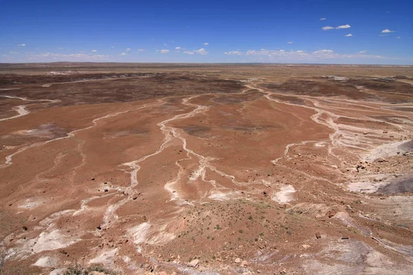 Badlands del deserto dipinto nel Parco nazionale della foresta pietrificata, Arizona. — Foto Stock