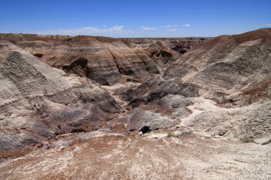 Petrified orman Milli Parkı, Arizona boyalı çöl Badlands.