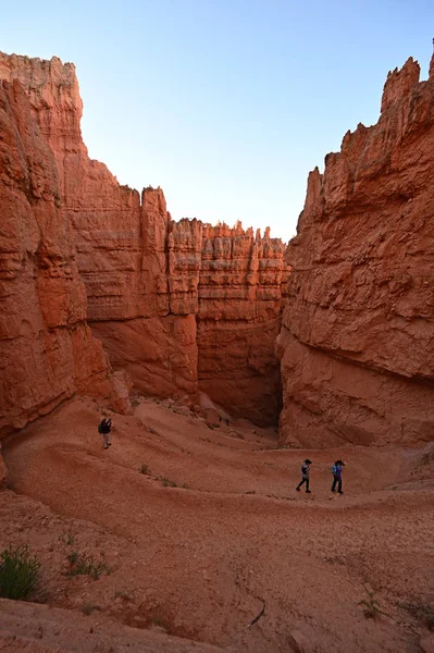 Randonneurs lointains sur le sentier Navajo Loop dans le parc national de Bryce Canyon . — Photo