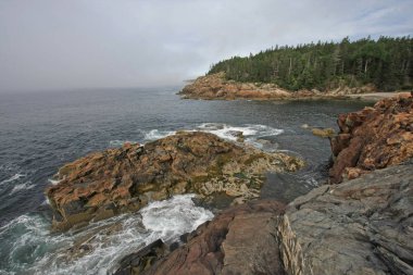 Acadia Milli Parkı 'nın engebeli kıyısı, Maine.