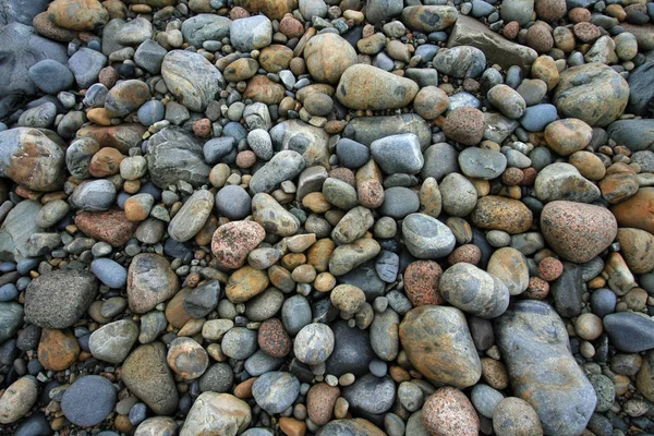 Guijarros coloridos del Parque Nacional Acadia . — Foto de Stock