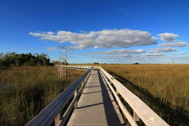 Pa-Hay-Okee Boardwalk, Everglades Ulusal Parkı, Florida.