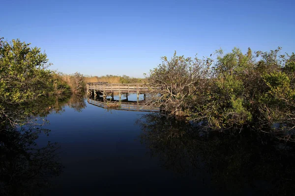 Promenada Anhinga Trail w parku narodowym Everglades. — Zdjęcie stockowe