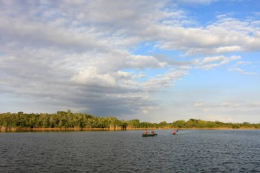 Everglades Milli Parkı'nda kano ve kano.