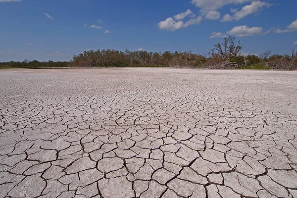 Öko-Teich im Everglades-Nationalpark bei extremer Trockenheit. — Stockfoto