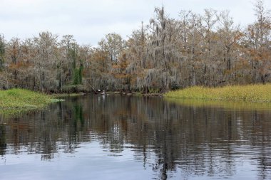 Fisheating Creek, Florida.