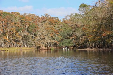 Fisheating Creek, Florida.