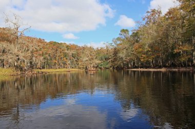 Fisheating Creek, Florida.