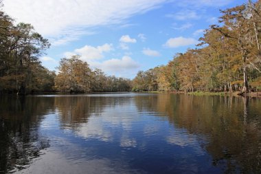 Fisheating Creek, Florida.
