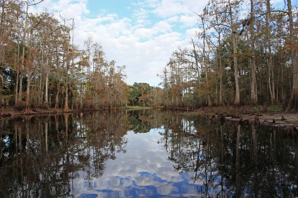 Fisheating Creek, Florida. — Stok fotoğraf