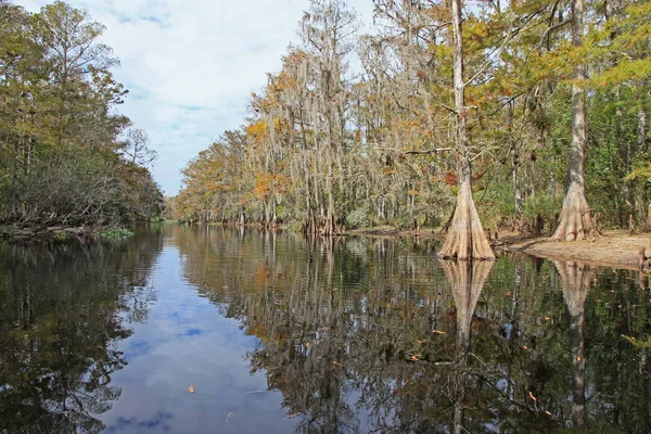 Fisheating Creek, Florida. — Stok fotoğraf