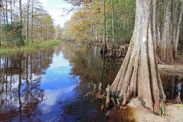 Fisheating Creek, Florida. — Stock fotografie