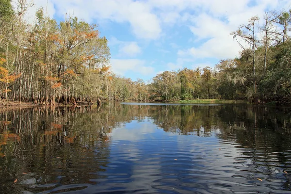 Fisheating Creek, Florida. — Foto Stock