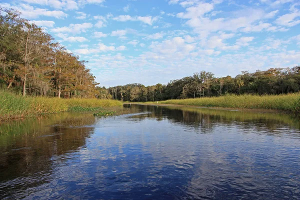 Fisheating Creek, Floride . — Photo