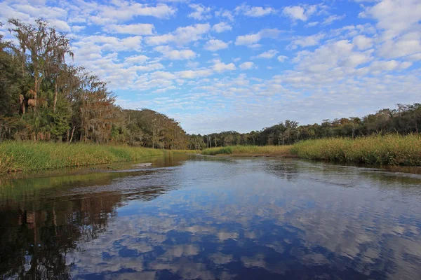 Fisheating Creek, Florida. — Stok fotoğraf