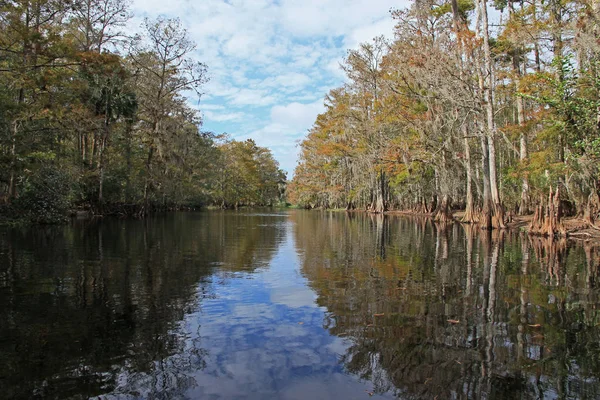 Fisheating Creek, Florida. — Fotografia de Stock