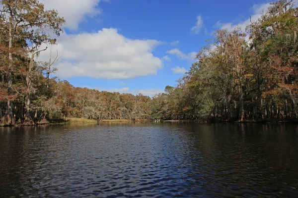 Fisheating Creek, Florida. — Stockfoto