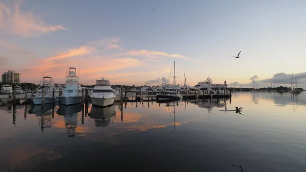 Wschód słońca nad kolacja Key Marina, Miami. — Zdjęcie stockowe