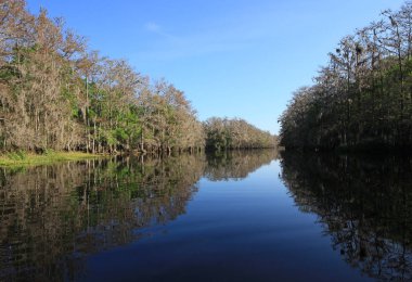 Fisheating Creek, Florida.