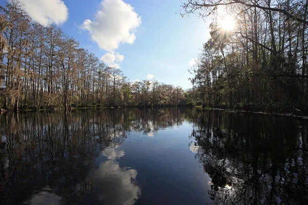Fisheating Creek, Florida.