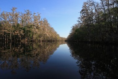 Fisheating Creek, Florida.