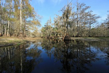 Fisheating Creek, Florida.