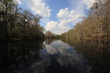 Fisheating Creek, Florida.