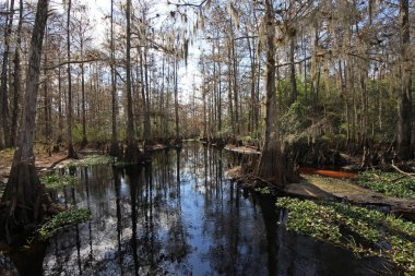 Fisheating Creek, Florida.