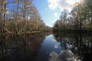 Fisheating Creek, Florida.