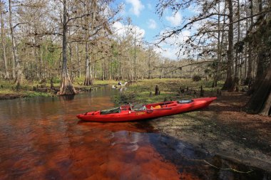 Kırmızı kayık Fisheating Creek, Florida üzerinde.