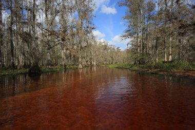 Fisheating Creek, Florida.
