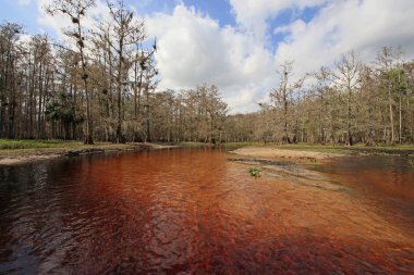 Fisheating Creek, Florida.