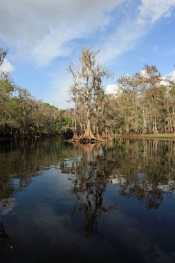 Fisheating Creek, Florida.