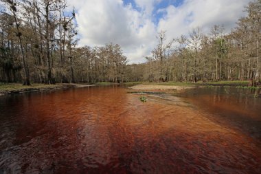 Fisheating Creek, Florida.