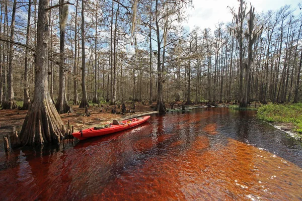 Kırmızı kayık Fisheating Creek, Florida üzerinde.