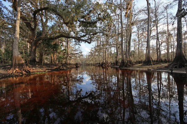 Fisheating Creek, Florida. — Stock fotografie