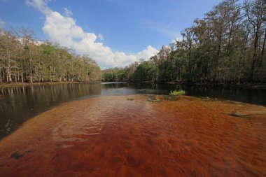 Fisheating Creek, Florida.