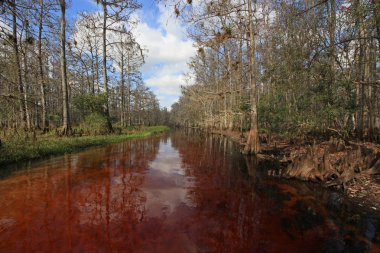 Fisheating Creek, Florida.